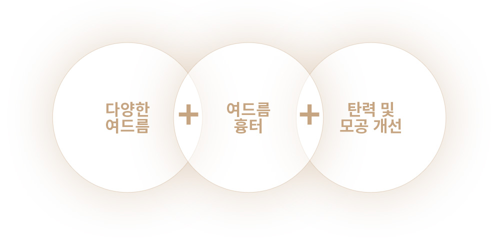 다양한 여드름 + 여드름 흉터 + 탄력 및 모공 개선